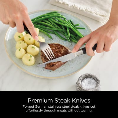  Ninja K32017 Foodi NeverDull Premium Knife System, 17 Piece Knife  Block Set with Built-in Sharpener, German Stainless Steel Knives, Black:  Home & Kitchen