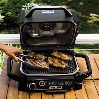 Outdoor Grills  Electric BBQ Grills & Smokers - Ninja Woodfire™