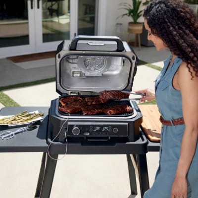 Ninja Woodfire Pro XL Outdoor Grill & Smoker with Thermometer & Cover