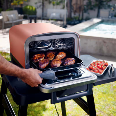 Ninja Woodfire Grill Adjustable Stand and Side Table Review 