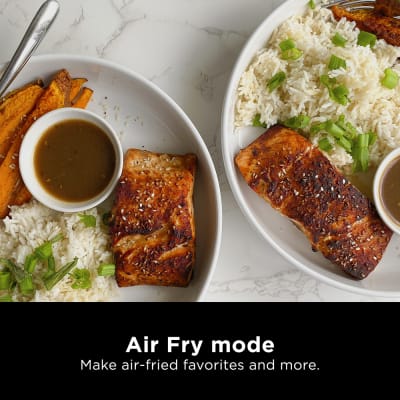 30+ Ninja Speedi Recipes - Air Fryer Fanatics