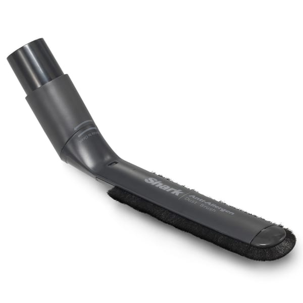 Dusty brush 2024
