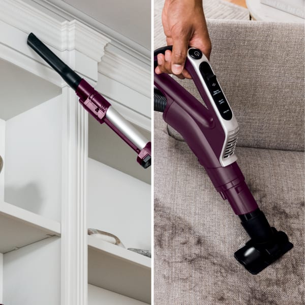 Shark Stratos™ Upright Vacuum with DuoClean® PowerFins™ HairPro™, Powered  Lift-Away®, Self-Cleaning Brushroll, and Odor Neutralizer Technology  Upright Vacuums - Shark