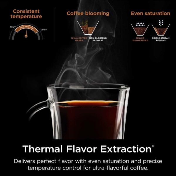 Ninja Hot & Iced XL Coffee Maker with Rapid Cold Brew Coffee Ninja Hot & Iced XL Coffee Maker with Rapid Cold Brew Coffee