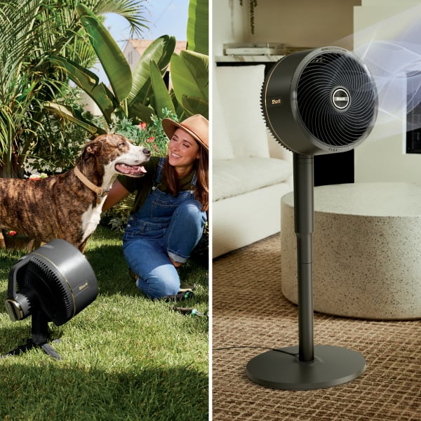 シャーク　扇風機　Shark FLEX BREEZE FA222JBK Shark FlexBreeze Fan - Indoor & outdoor oscillating fan