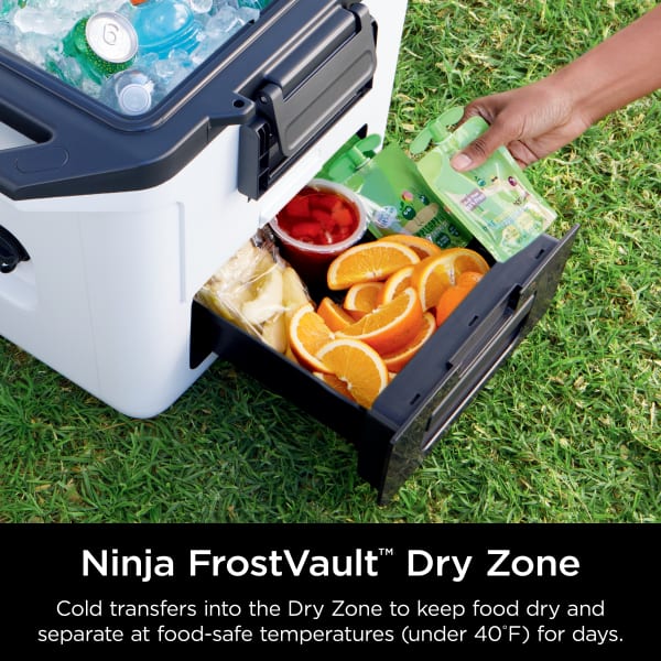 Ninja FrostVault™ 30qt Hard Cooler with Dry Zone, Cloud White Coolers -  Ninja