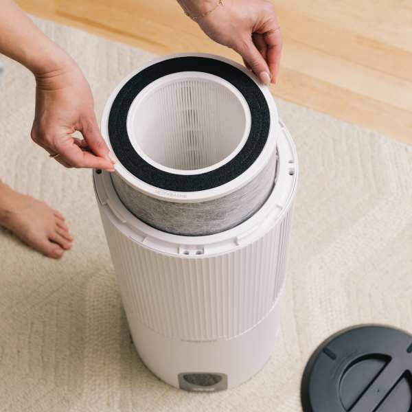 Shark™ Air Purifier MAX Anti-Allergen Filter with True HEPA Air Purifiers - Shark