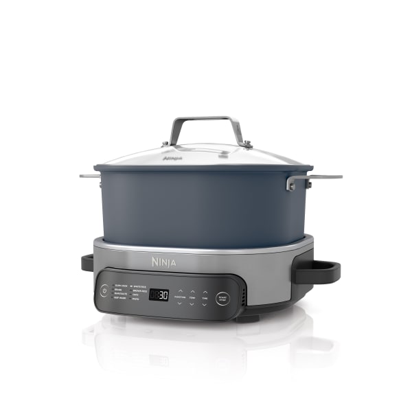Food ninja cooker 2025