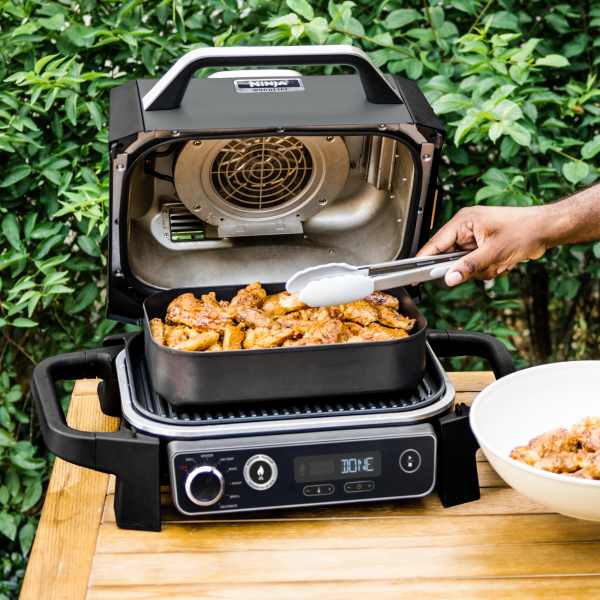 Ninja Woodfire Outdoor Grill Smoker With Premium Cover and Collapsible Stand Outdoor Grills Ninja