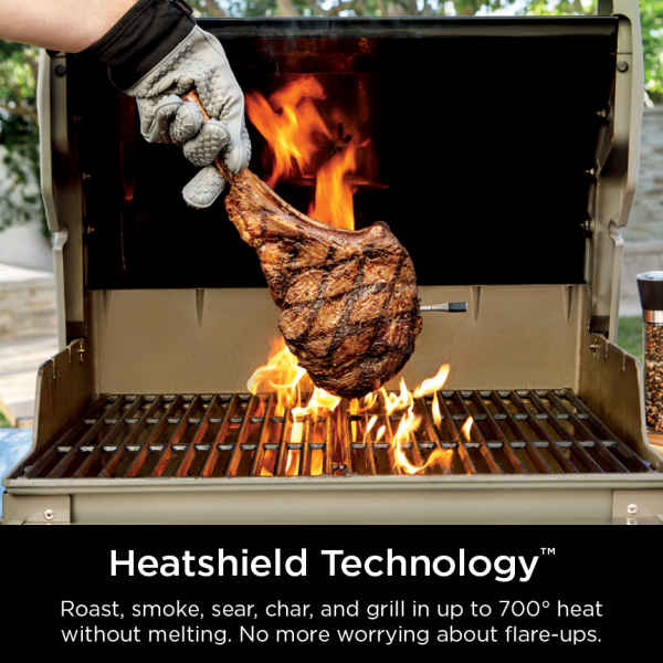 Ninja ProChef™ Wireless Thermometer Kitchen Tools & Gadgets - Ninja