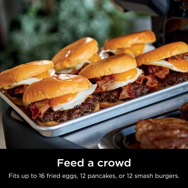 Ninja FlexFlame PG300 Grillabdeckung - Wasserdichte Smoker Abdeckung