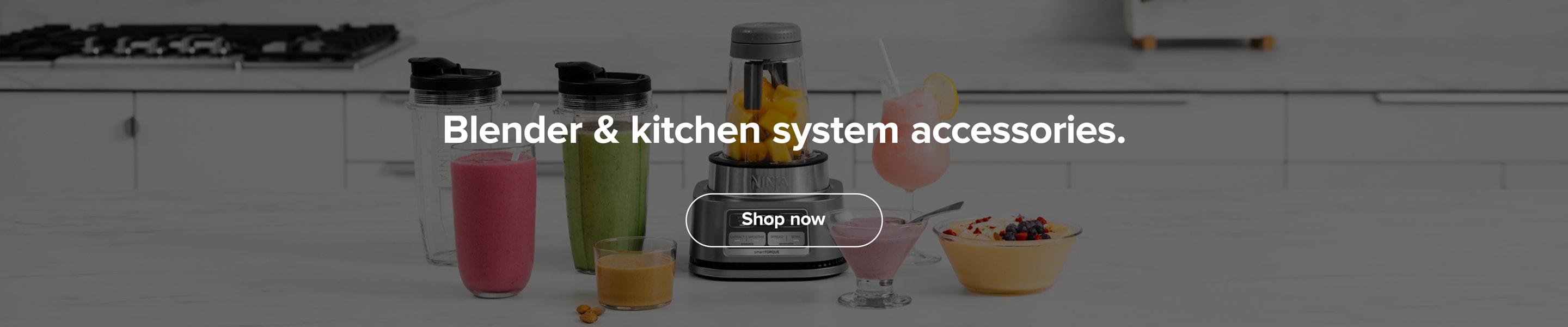 Blenders  Pitcher Blenders & Personal Smoothie Makers – Ninja®