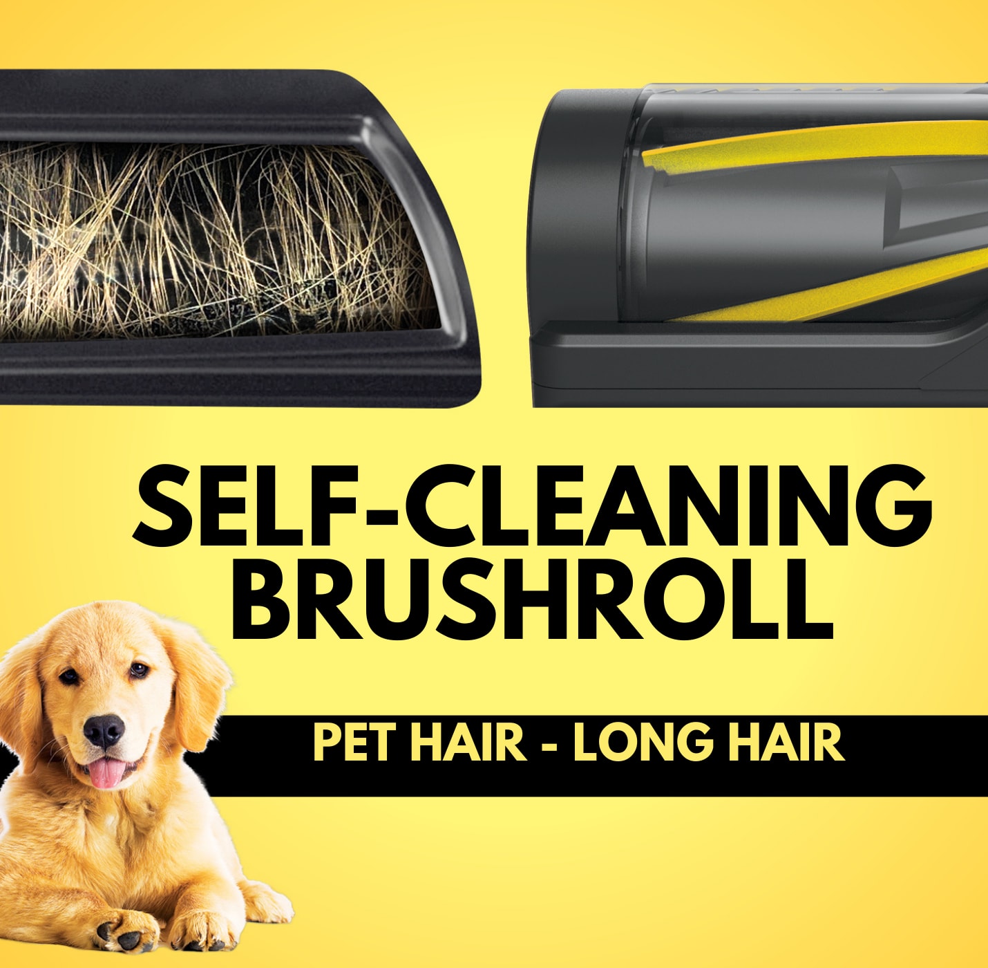 Shark Cleaning Canada