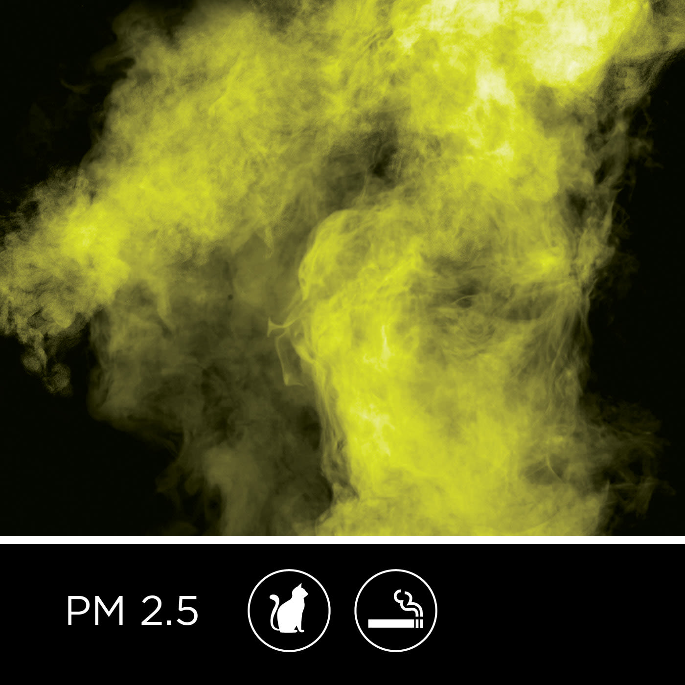 PM2.5