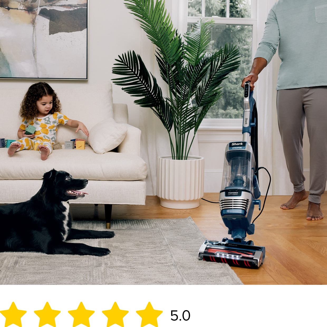 Shark Rotator Lift-Away Upright Vacuum with PowerFins Corded Bagless Pet  Upright Vacuum with HEPA Filter in the Upright Vacuums department at