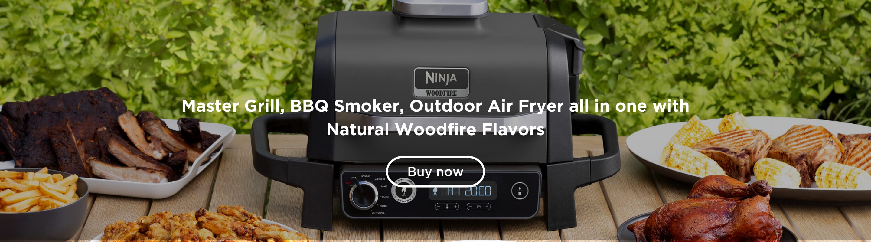 Ninja OG701 Personal Woodfire Grill, Smoker & Air Fryer