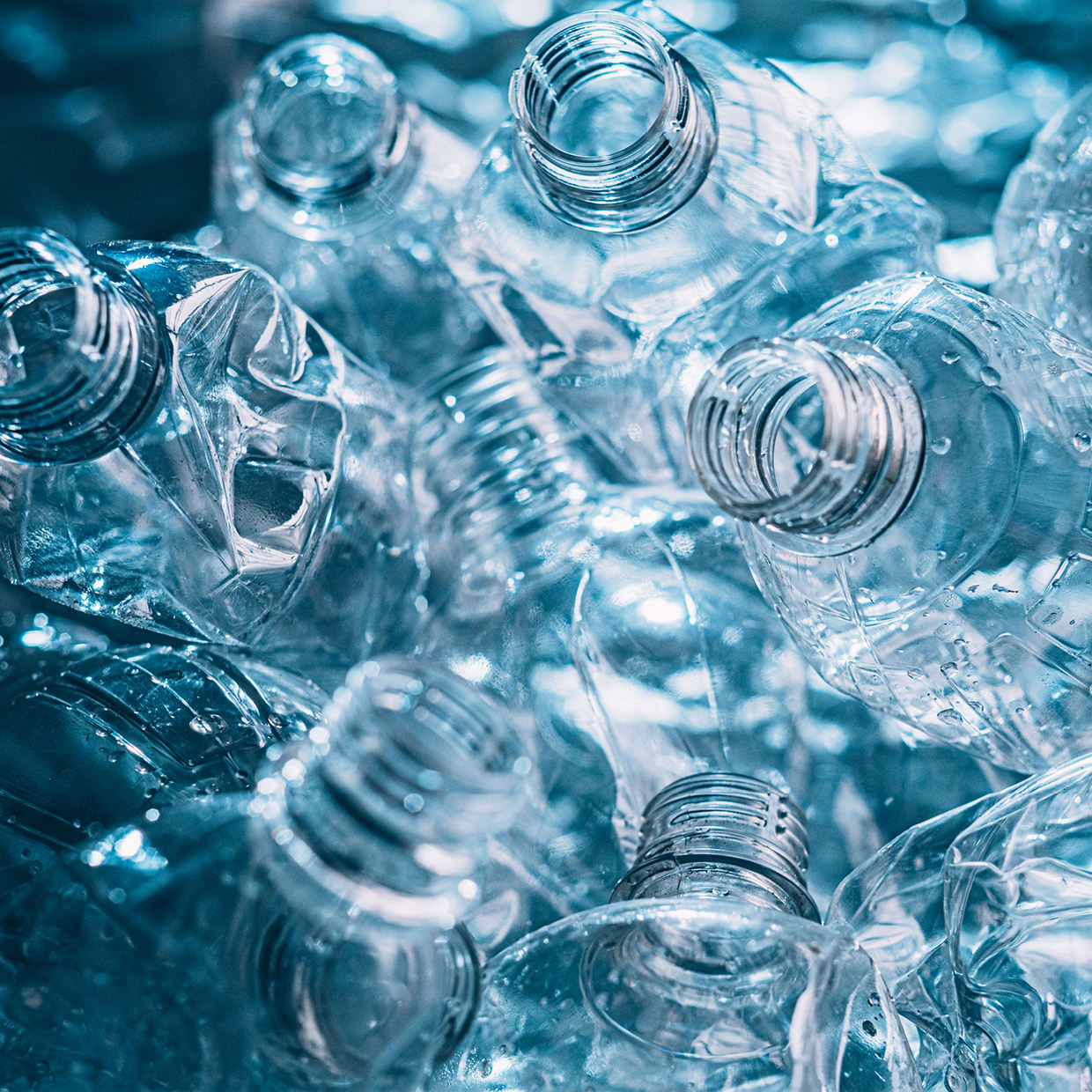 Plastic Water Bottles - Sustainability