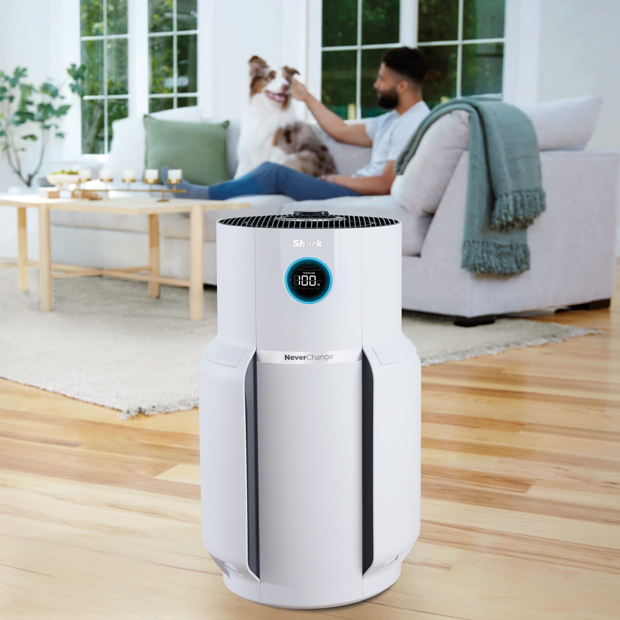 Shark HP102PET Clean Sense Air Purifier for Home, Allergies, Pet Hair, HEPA  Filter, 500 Sq Ft, Small Room, Bedroom, Captures 99.98% of Particles, Pet