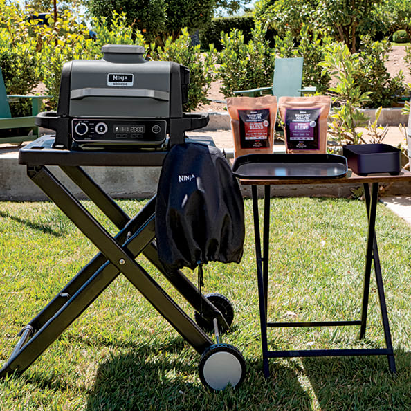 Ninja Woodfire 3-in-1 Outdoor Grill, Master Grill, BBQ Smoker, & Outdoor  Air Fryer with Woodfire Technology, OG700 