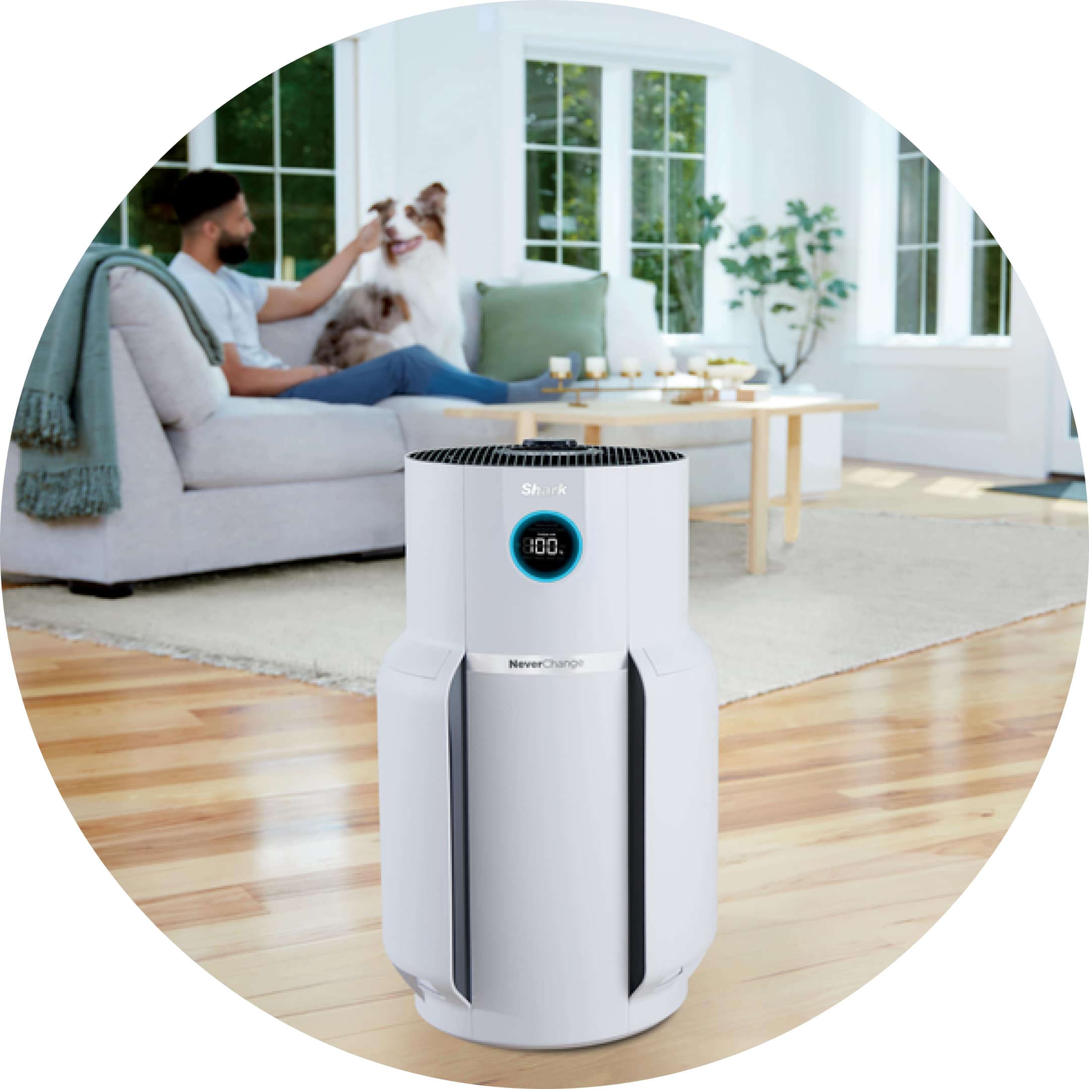 Vacuum Cleaners, Steam Mops, Hair Care & Air Purifiers - Shark® Vacuum Cleaners, Steam Mops, Hair Care & Air Purifiers - Shark®