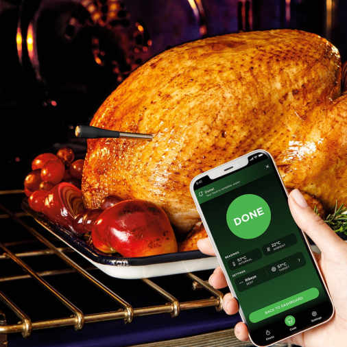 Sonde connectee WP100EU - vue 2