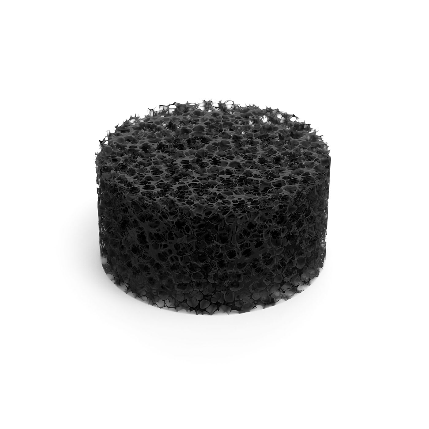 Dirty-water tank foam filter