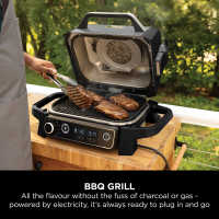Woodfire Electric BBQ Smoker Outdoor Grill Ninja UK
