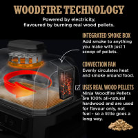 Ninja Woodfire Large Electric BBQ Smoker with Stand Cover