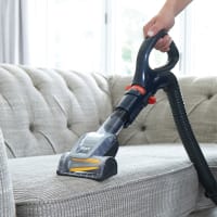 Power dog brush hot sale