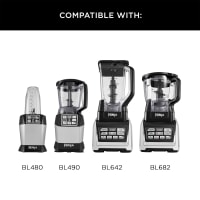 Ninja coffee & spice grinder new arrivals