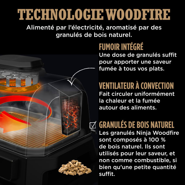 Allume-feu électrique MASTER Chef Fire Up avec ventilateur interne