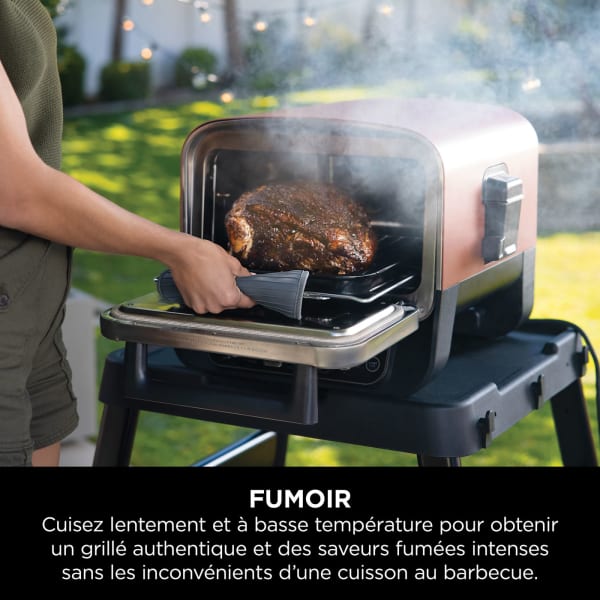 Mini fumoir de table électrique, Barbecues et grils