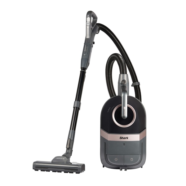 Aspirateur animaux sans sac best sale