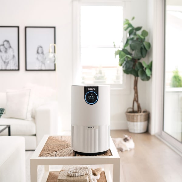 Le Purificateur d'air HEPA: ce que vous devez savoir!