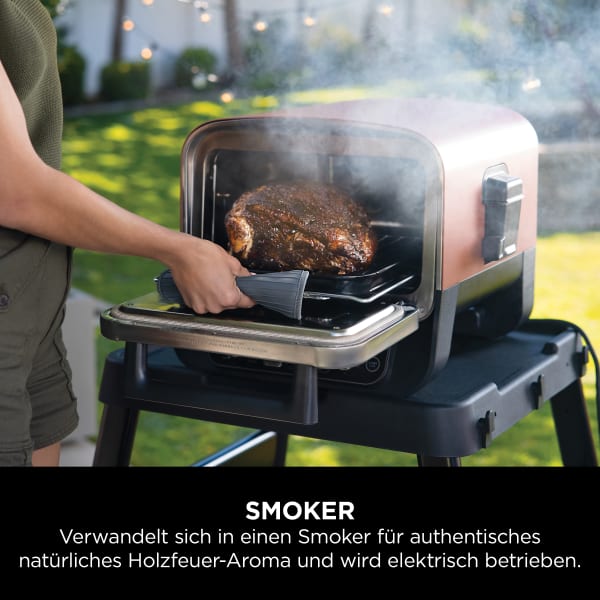 Ninja Woodfire 8-in-1 Outdoor BBQ Smoker and Pizza Oven on QVC 