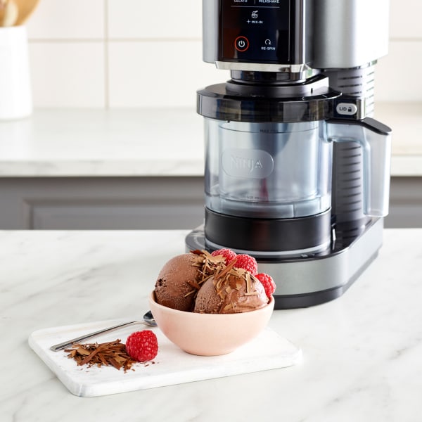 How to Make Hazelnut Gelato in the Ninja CREAMi Machine - and an honest  review - A Feast For The Eyes