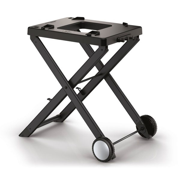 Ninja XSKSTAND Woodfire Collapsible Outdoor Grill Stand, Compatible with  Ninja Woodfire Grills (OG700 Series), Foldable, Side Utensil Holder