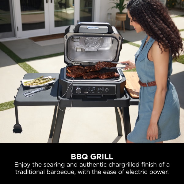 Royal chef gas o grill sales
