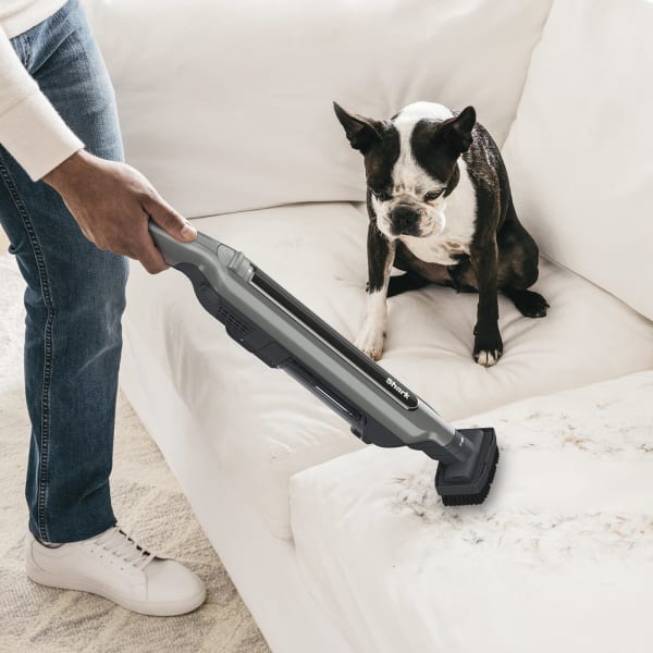Shark vacuum dog best sale brush