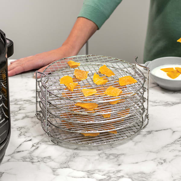 Ninja top foodi dehydrate