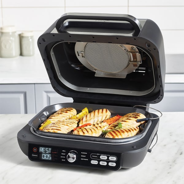 Parrilla Ninja 7 en 1, con Plancha y Air Fryer (AG651EU)