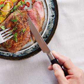 Ninja Foodi StaySharp Steak Knives