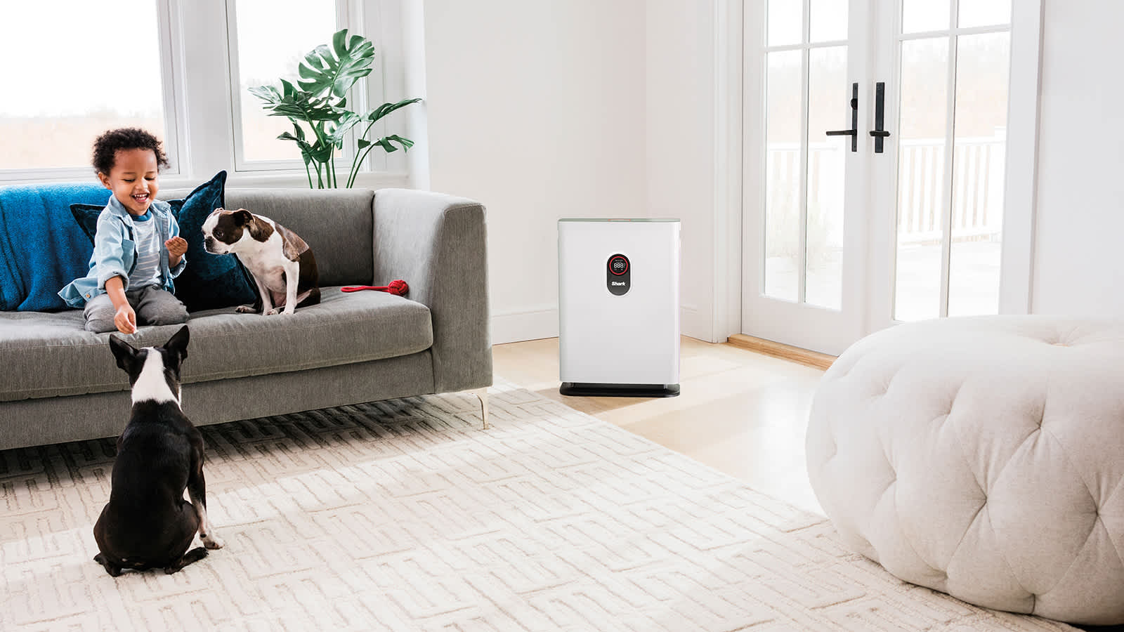 Shark Air Purifier 4: Smart Clean Air for Modern Homes