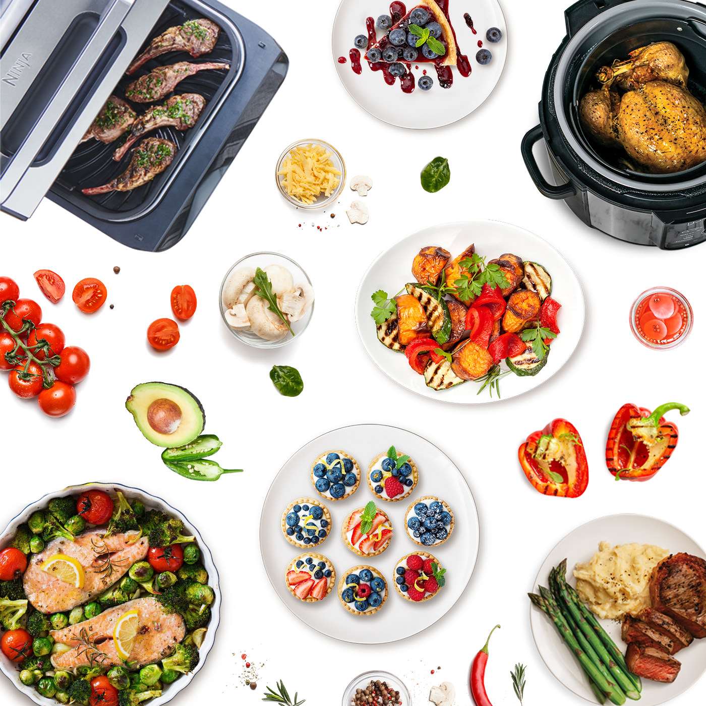Foodi Rezepte