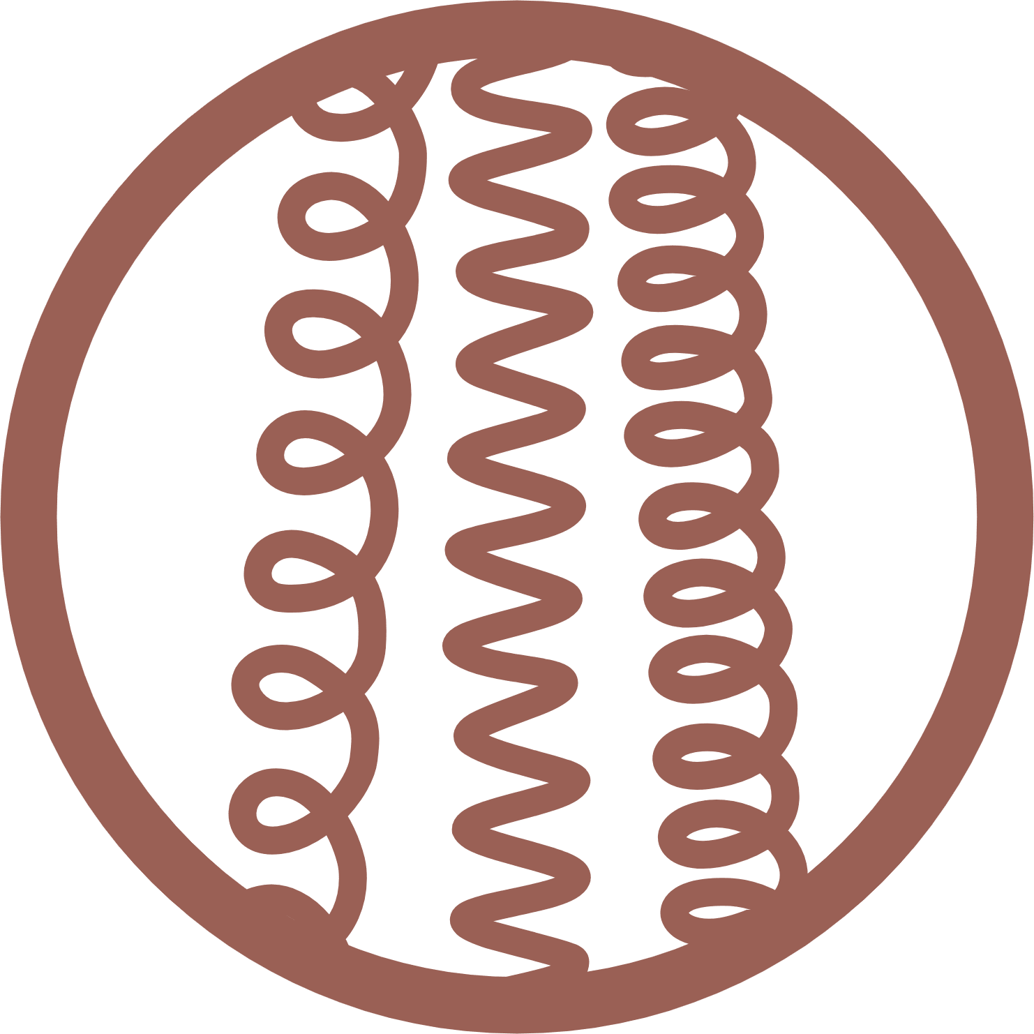 Image of coily hair