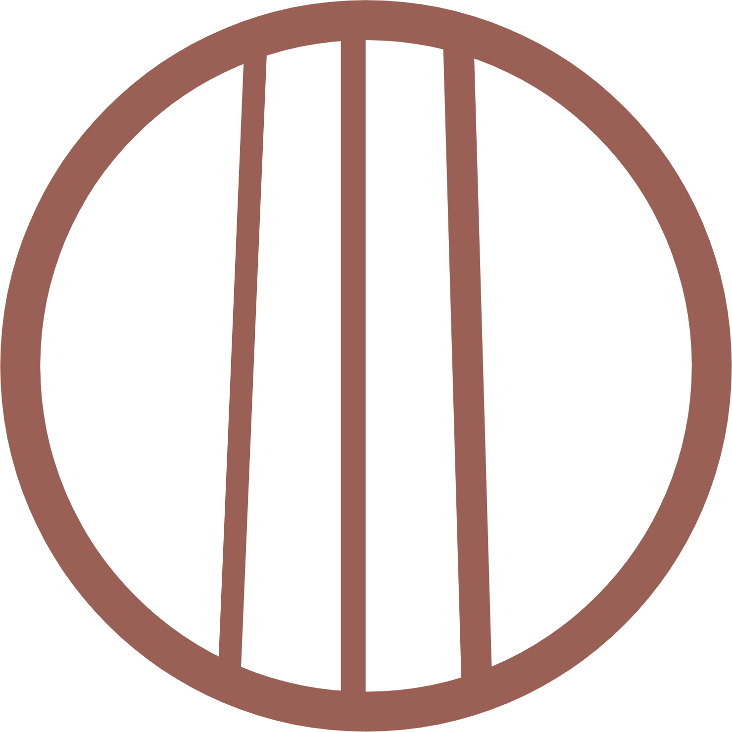  Image of straight hair