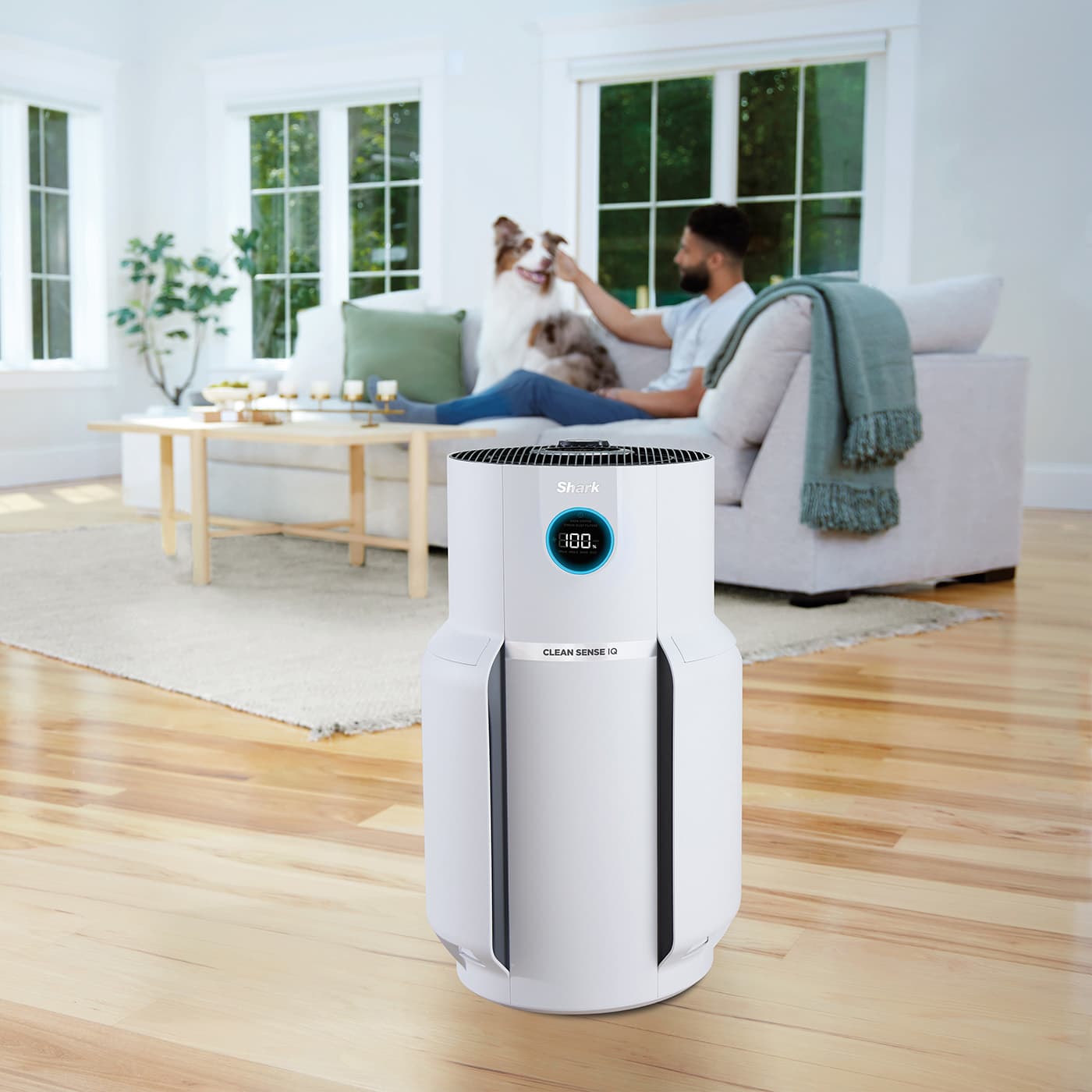 How do air purifiers work?