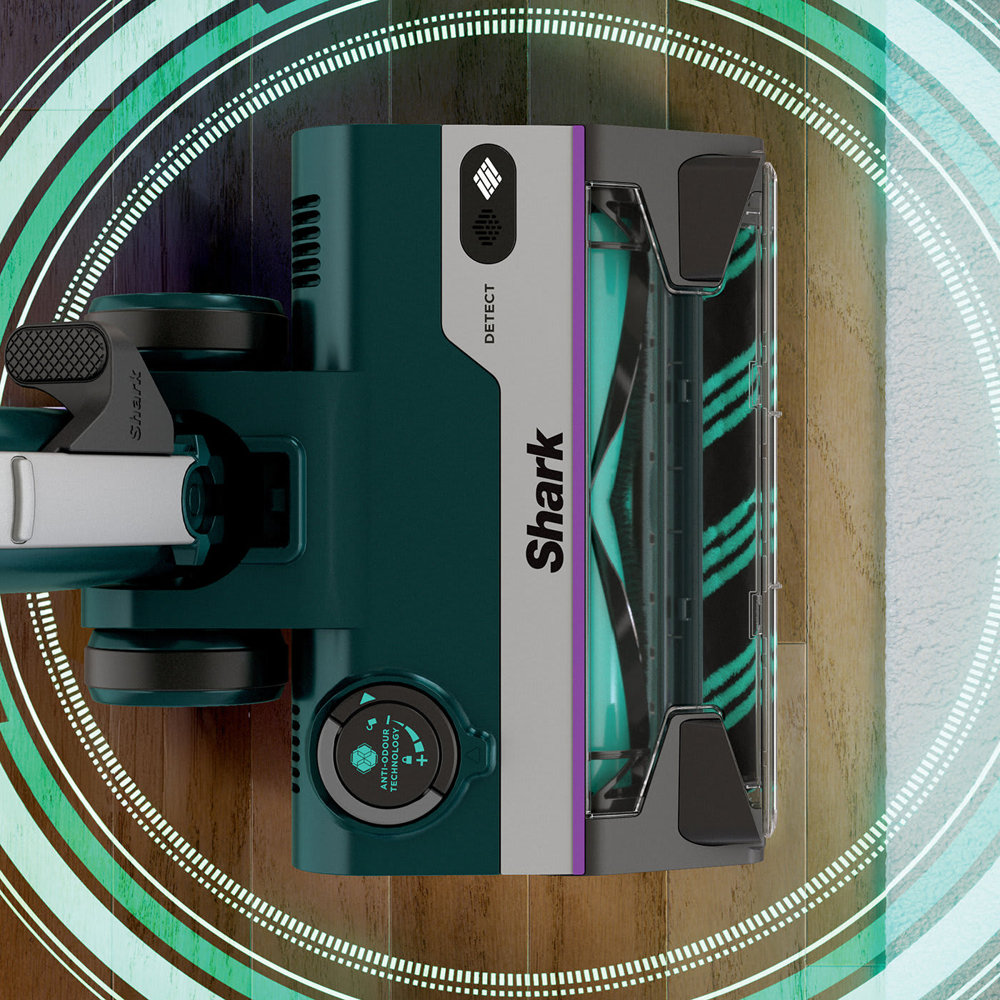 Homes with carpets & hard floors