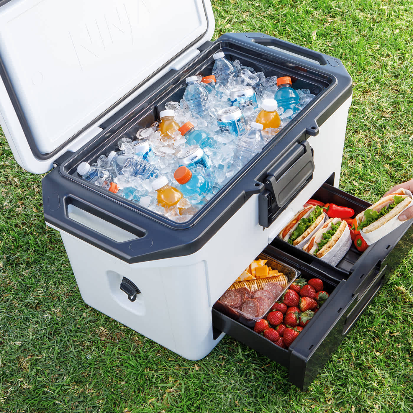 Högkvalitativ ishållning