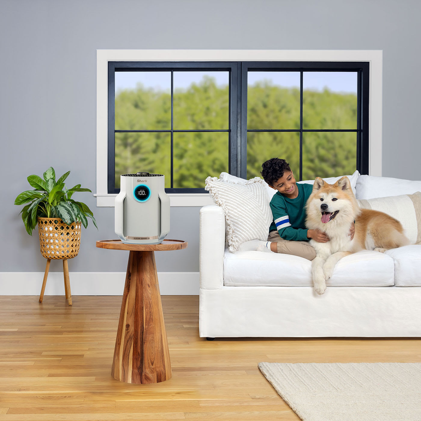 Anti-Allergen Filtration & Anti-Odour Technology